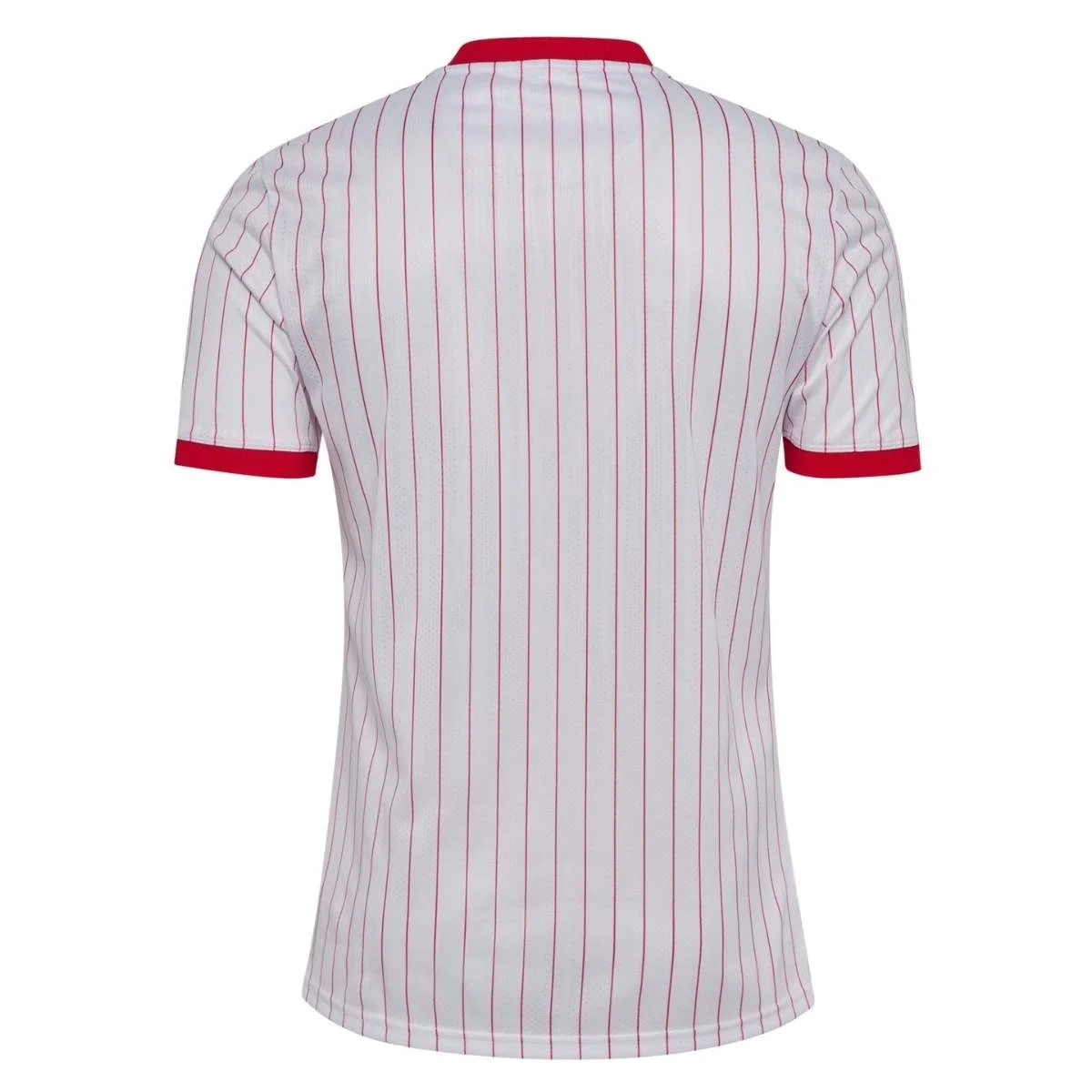 UNIFORME DINAMARCA AWAY 26/27